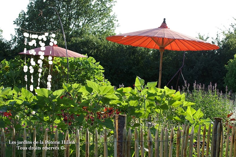 au jardin de 5 sens 2